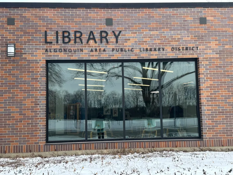 Algonquin Area Public Library District — 'LIBRARY' dimensional letters and the full district wordmark mounted on a brick exterior wall above a large picture window reflecting trees and snow.