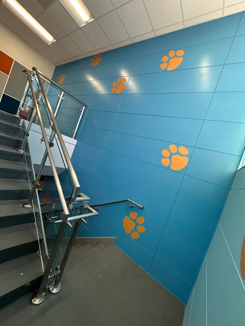 School stairwell environmental graphic — oversized orange paw-print decals climbing a bright blue accent wall around a modern glass-rail stair, with multi-color floor tiles at the base.