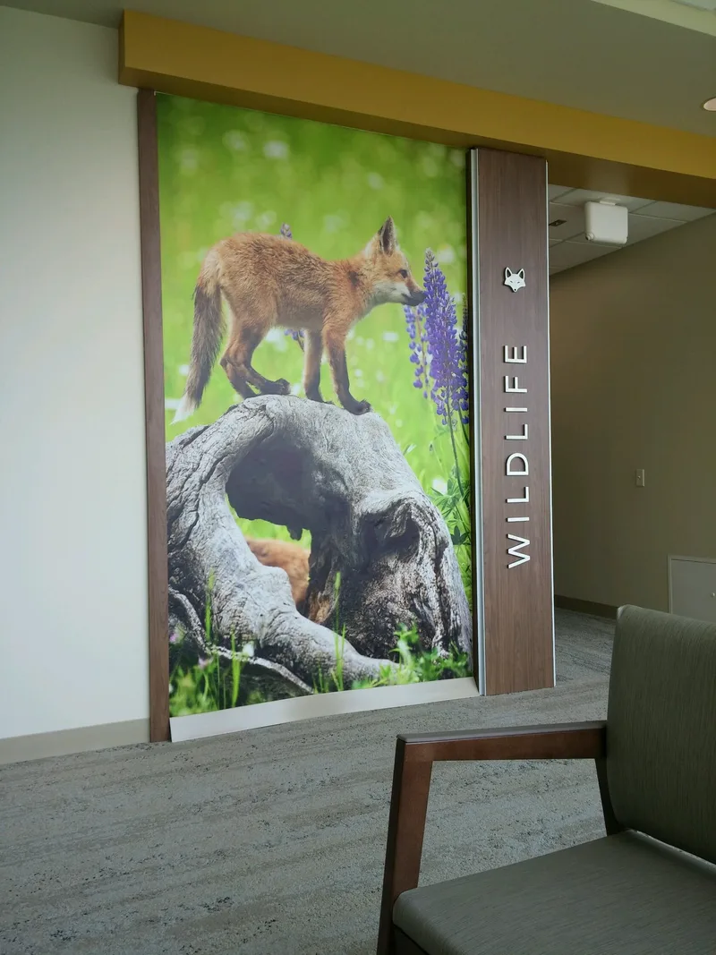 SwedishAmerican "WILDLIFE" suite — floor-to-ceiling photo wall graphic of a red fox on a fallen log in a meadow, paired with a wood-grain column and dimensional lettering.
